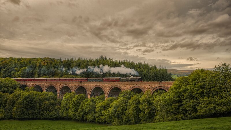 Steam Train on Viaduct — Green, Dramatic, Afternoon, Photograph, Trees