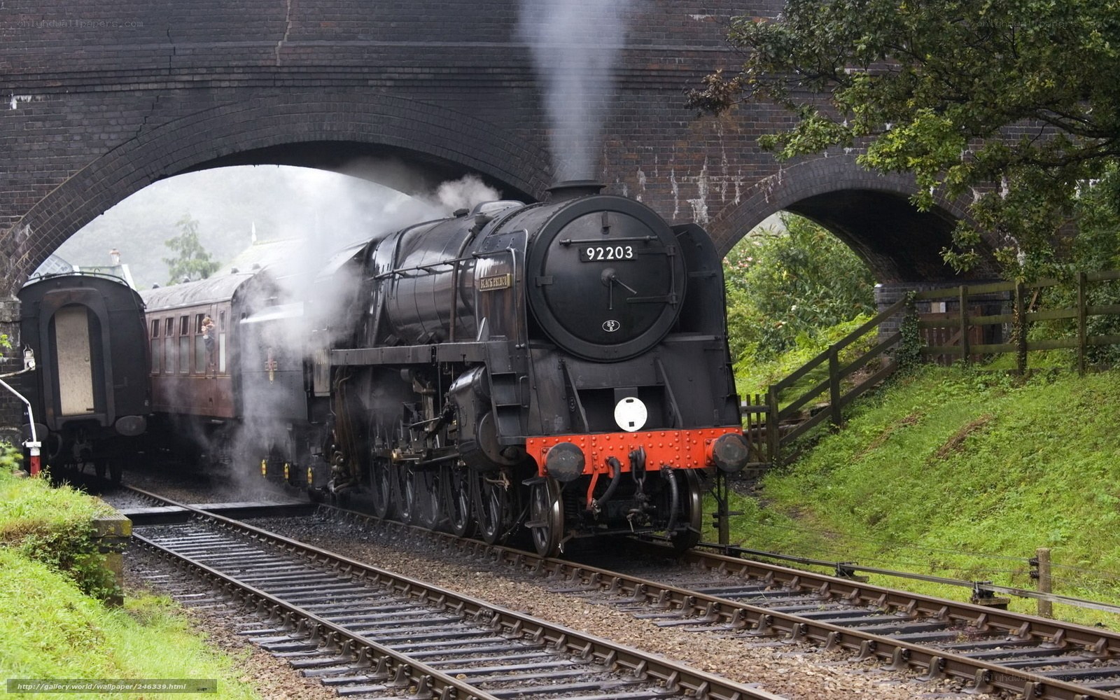 Steam train under a bridge