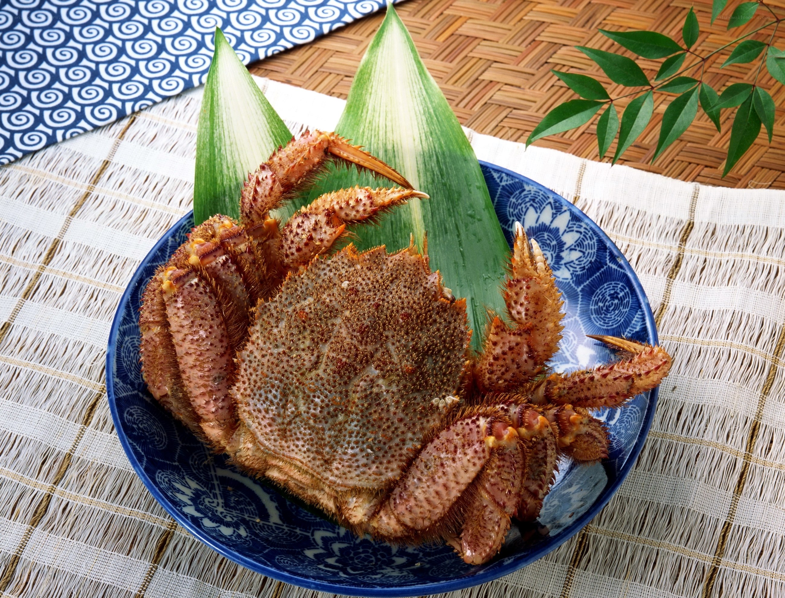 Steamed crab on a plate