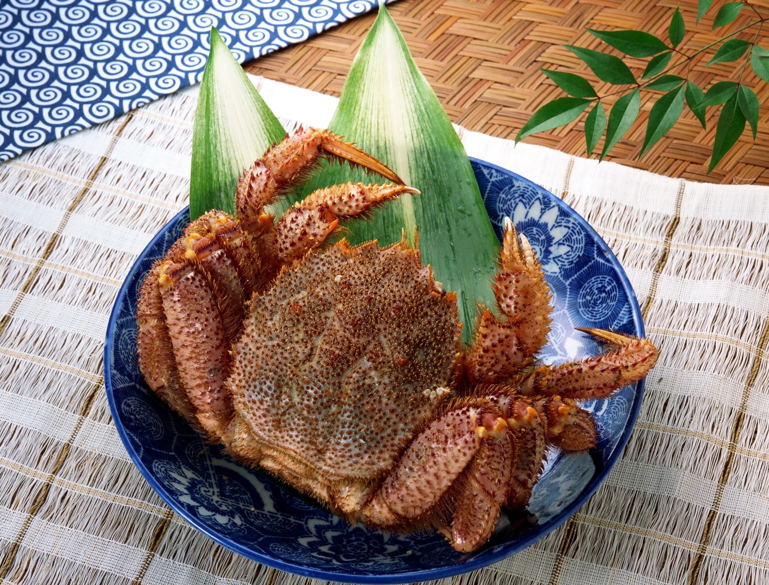 Steamed crab on a plate