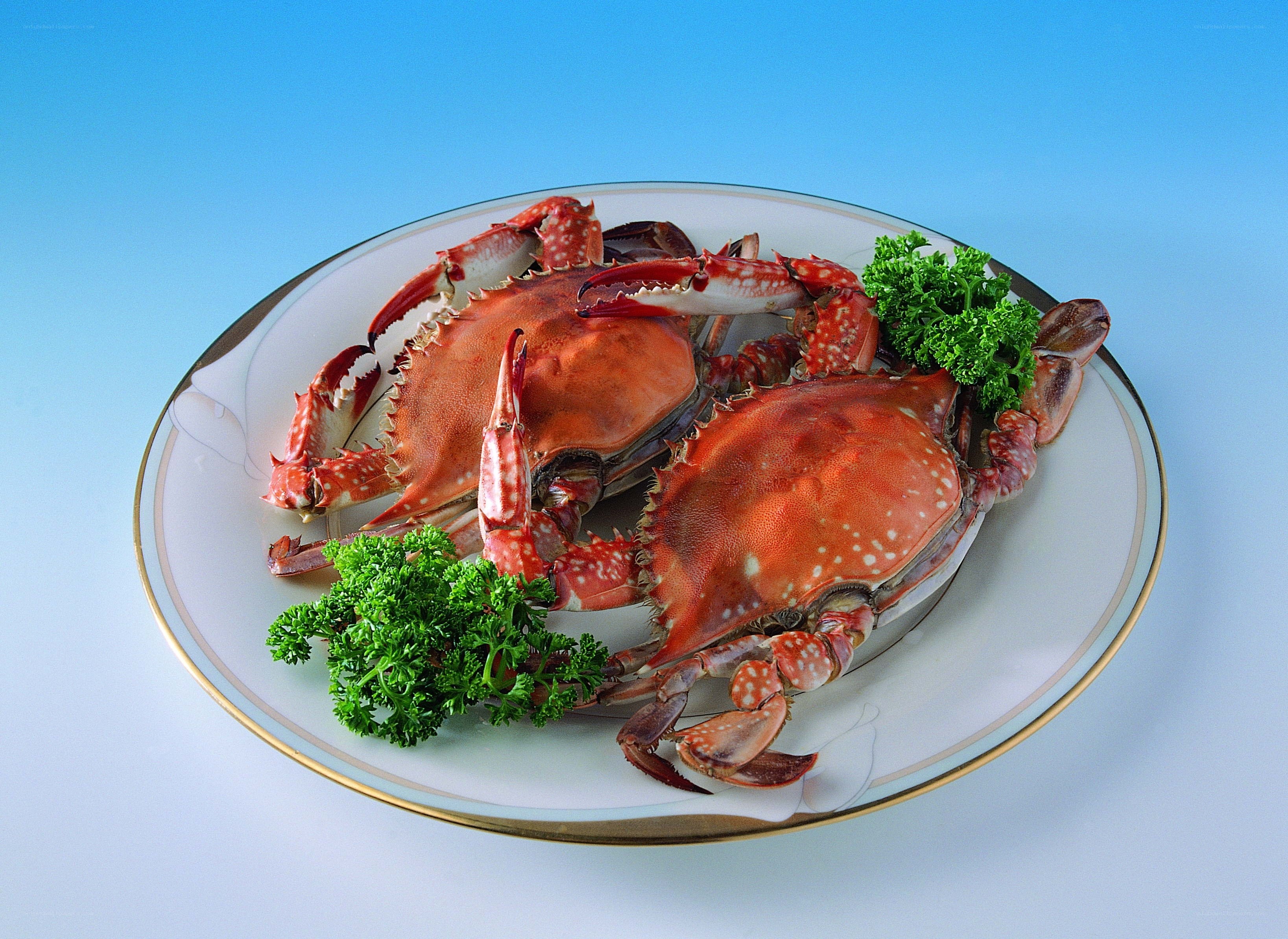 Steamed crabs on a plate