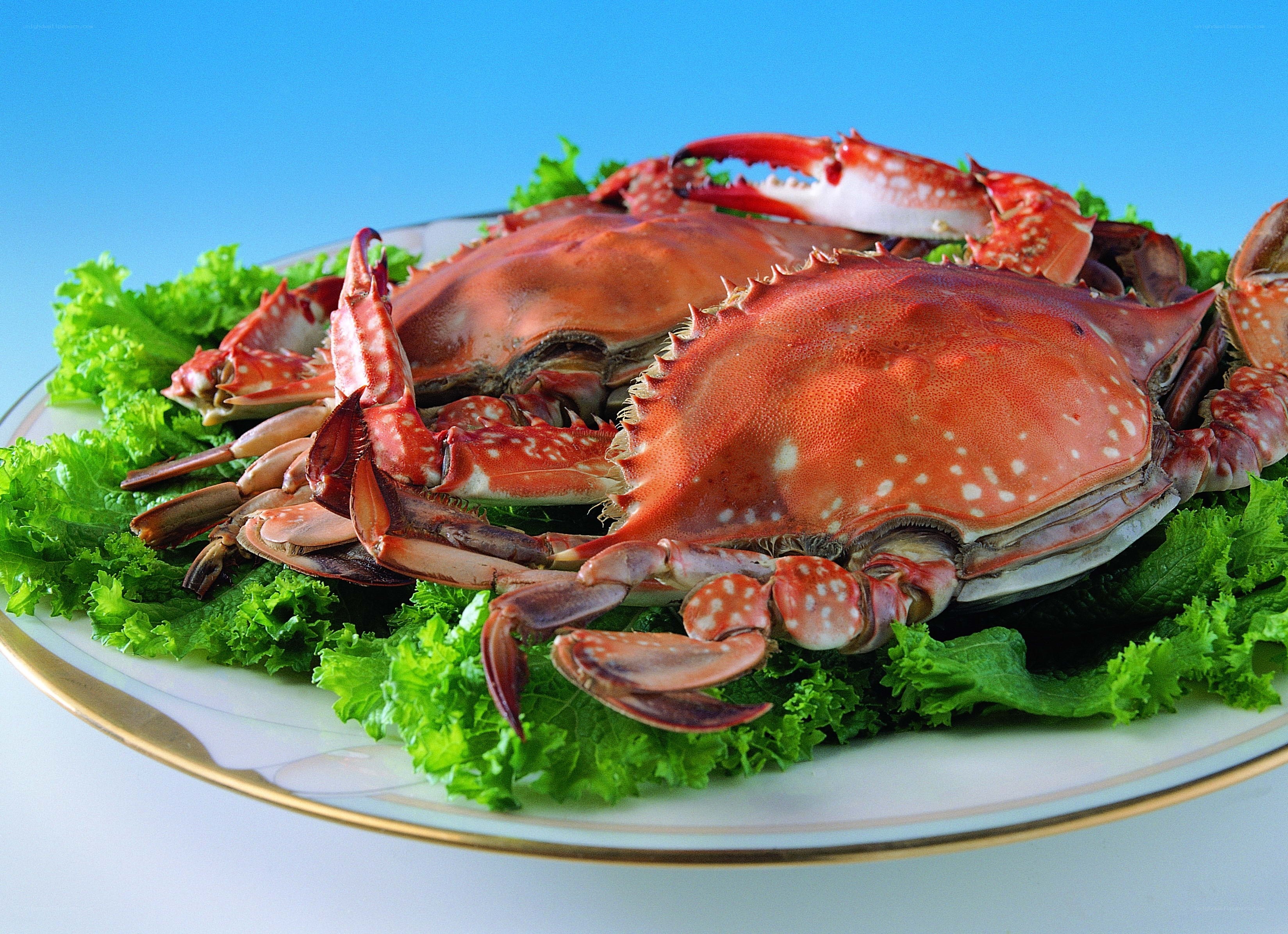Steamed crabs on lettuce