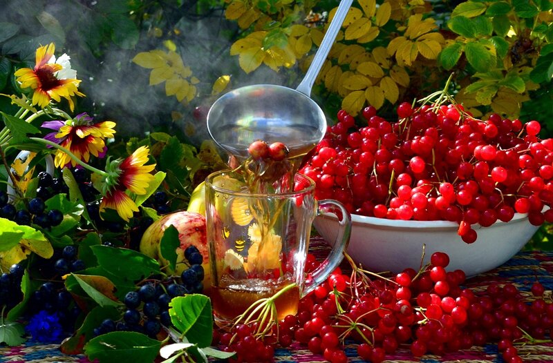 Steaming Berry Tea