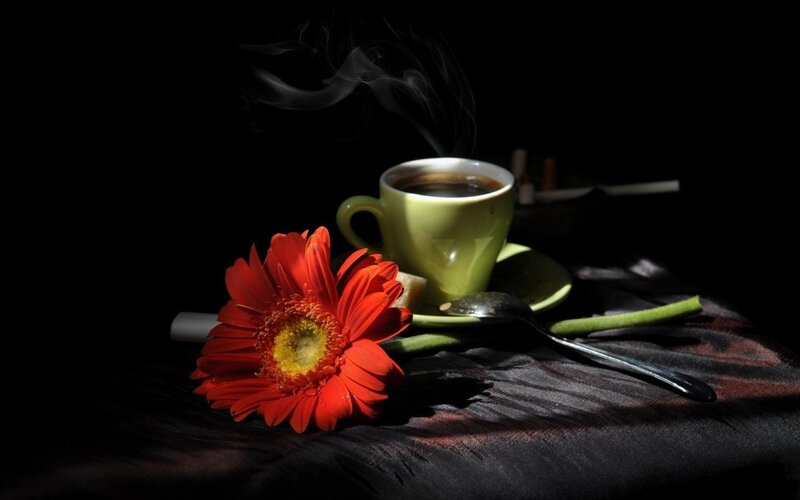 Steaming Coffee Cup — Black, Dramatic, Night, Photograph