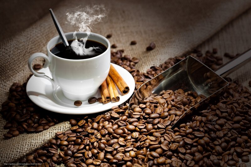 Steaming Coffee Cup — Brown, Cozy, Photograph, Coffee Beans, Cinnamon Sticks, Scoop
