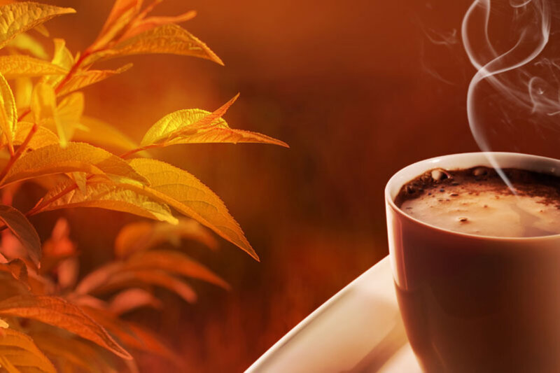 Steaming Coffee Cup — Brown, Warm, Autumn