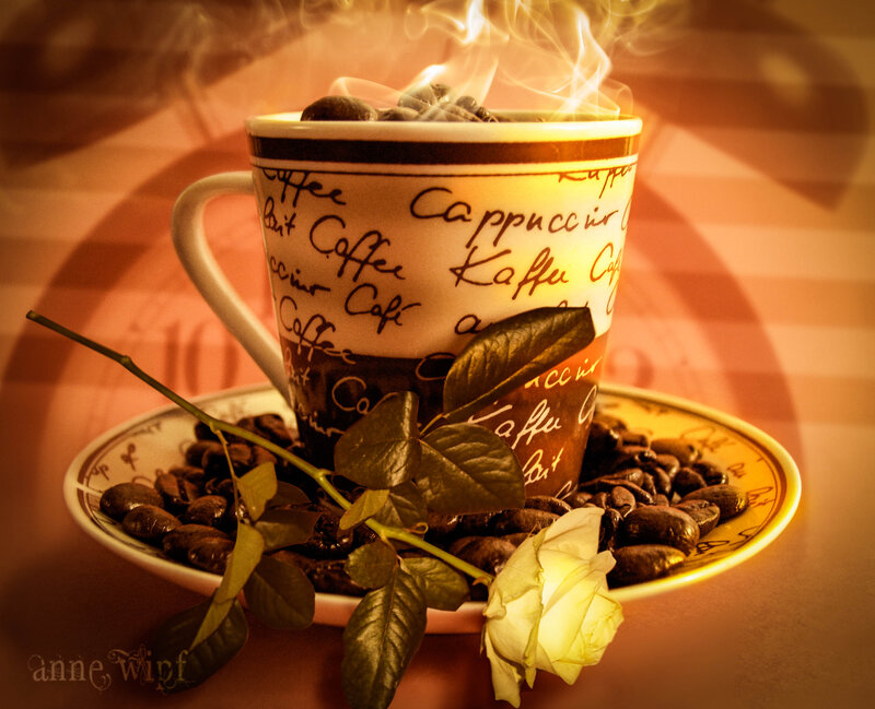 Steaming Coffee Cup — Brown, Warm, Photograph, Coffee Beans, Rose