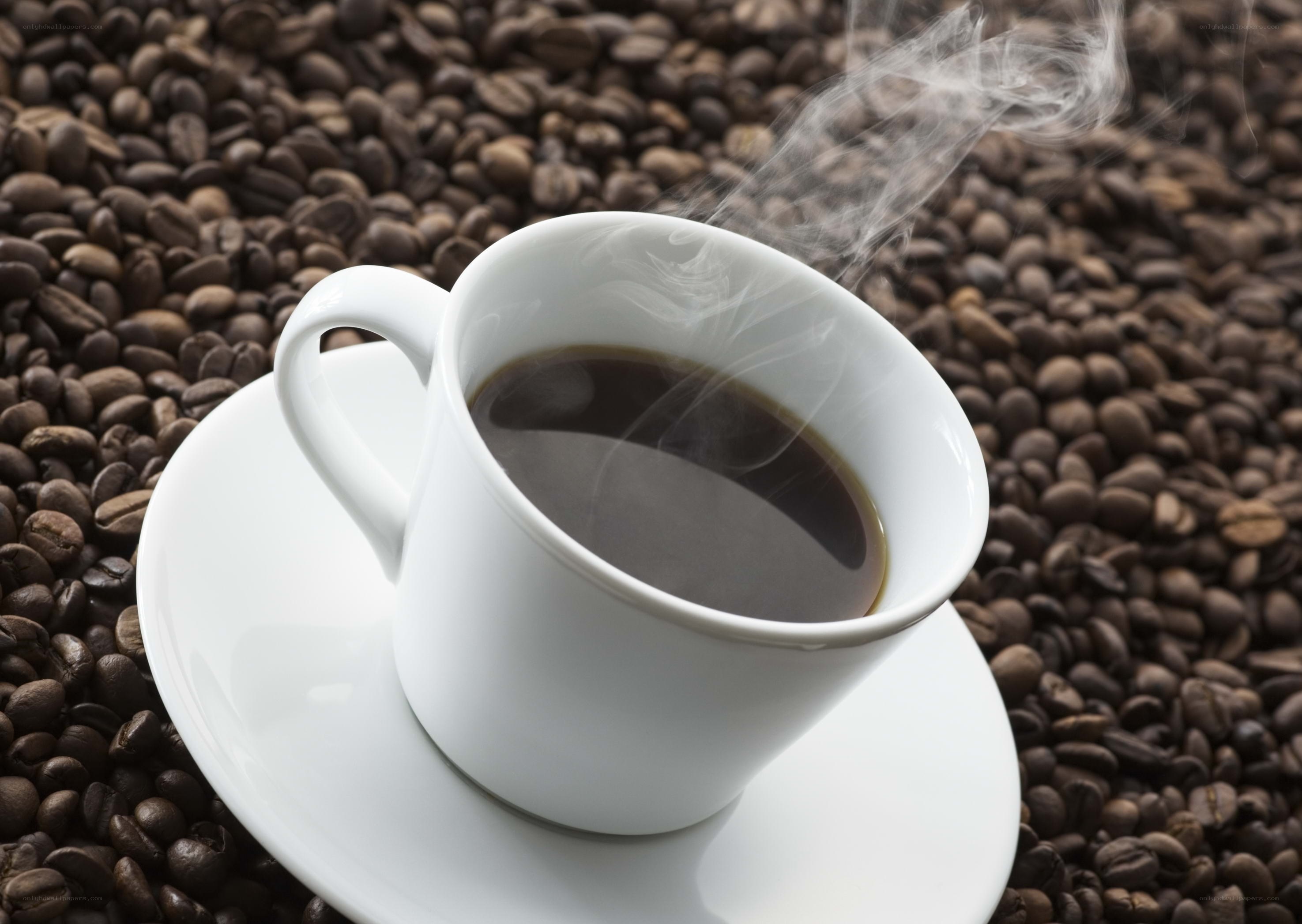 steaming coffee cup on beans