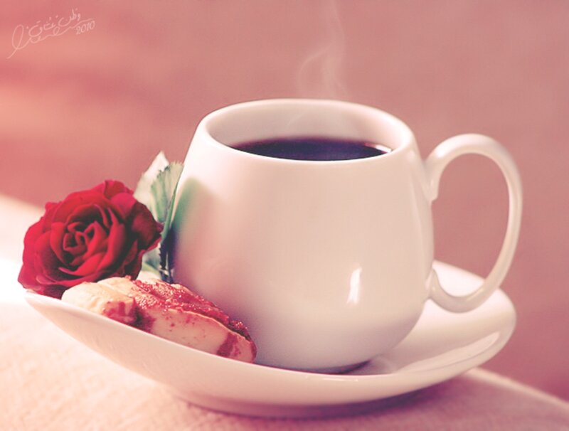 Steaming Coffee Cup — White, Calm, Morning, Photograph