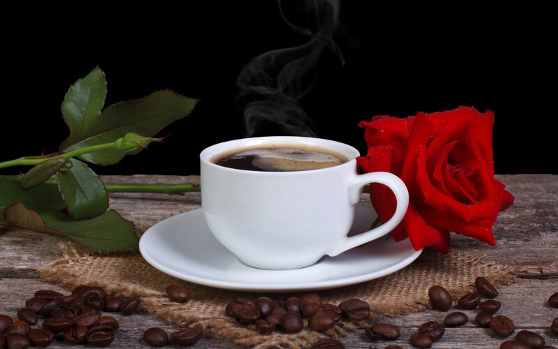 Steaming Coffee Cup — White, Dramatic, Photograph, Red Rose