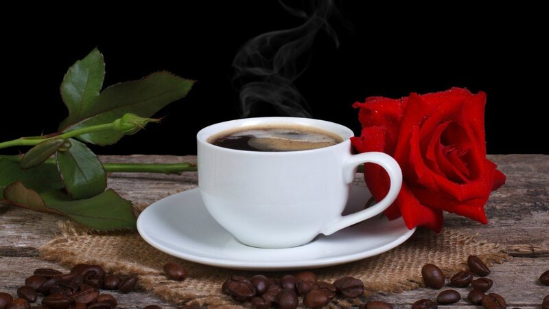 Steaming Coffee Cup — White, Dramatic, Photograph, Rose, Coffee Beans