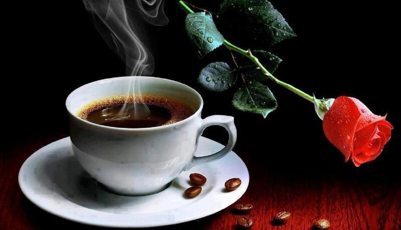 Steaming Coffee Cup — White, Dramatic, Photograph, Rose