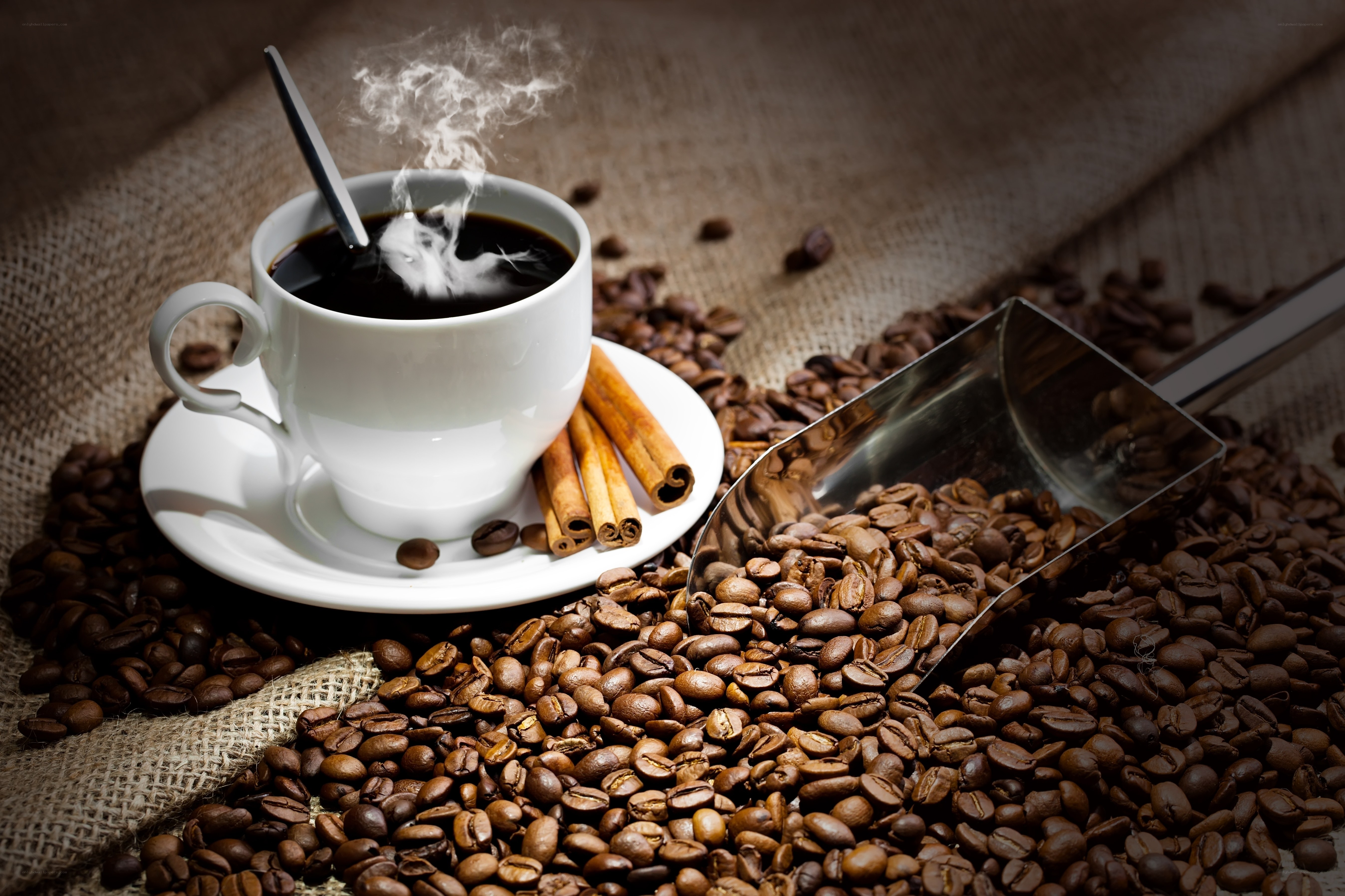 steaming coffee with beans