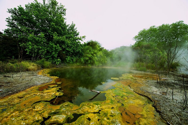 Steaming Geothermal Pond — Green