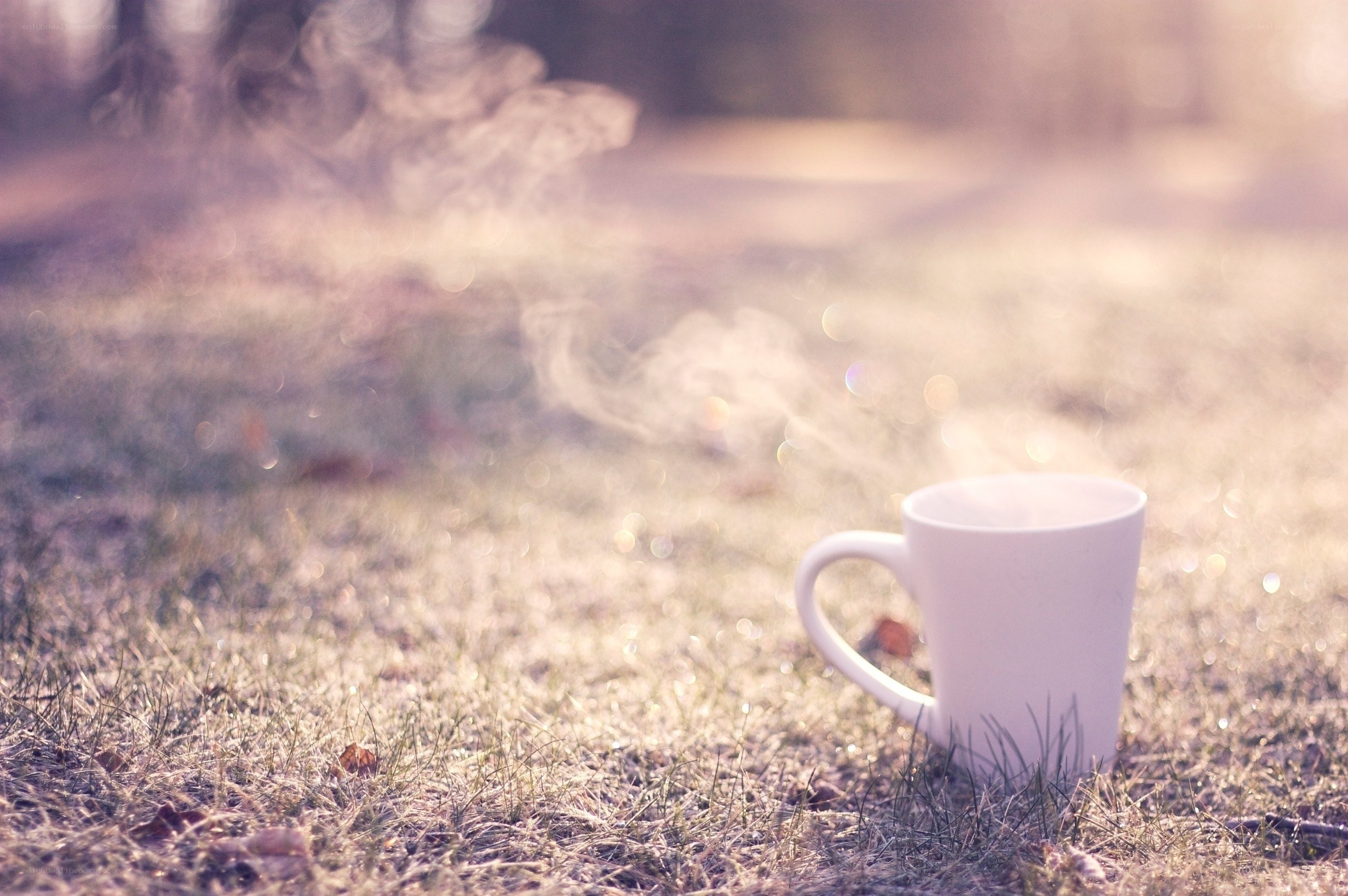 steaming mug on grass