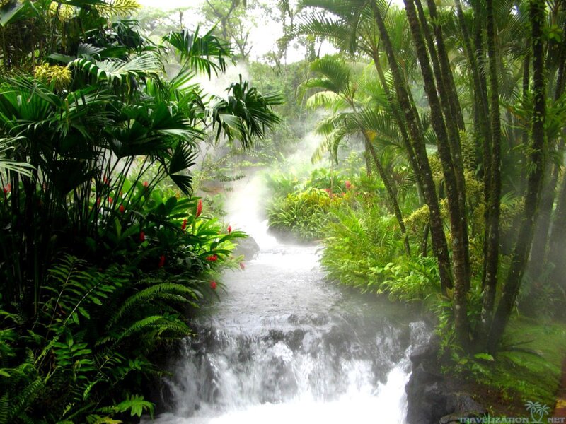 Steaming Waterfall in Jungle