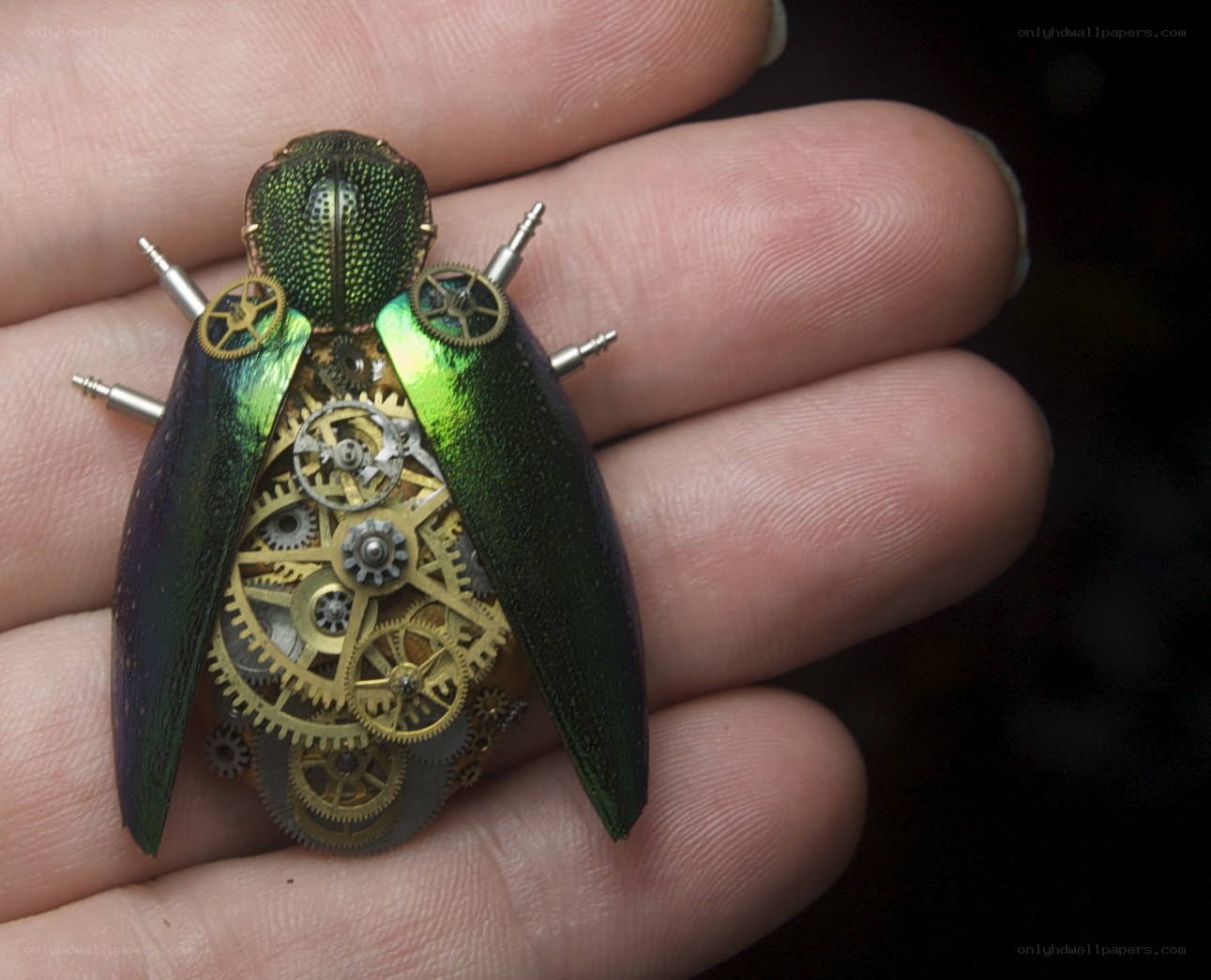 Steampunk beetle brooch
