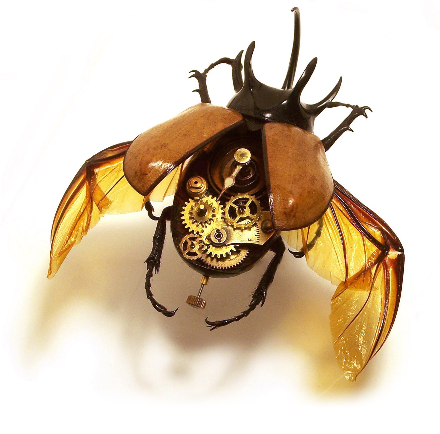 steampunk beetle sculpture