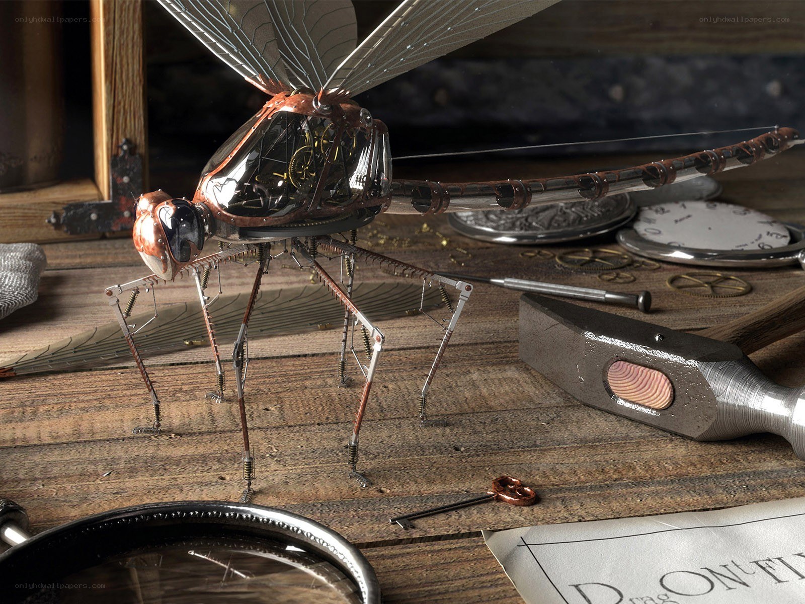Steampunk dragonfly model