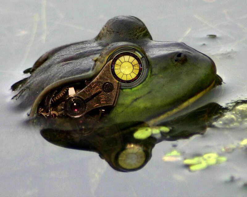 steampunk frog in pond
