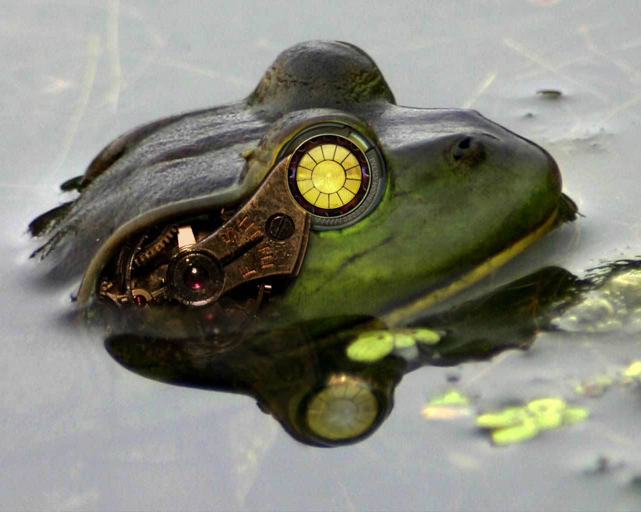 steampunk frog in pond