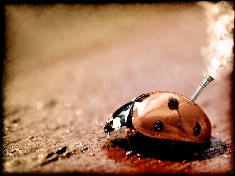 Steampunk Ladybug