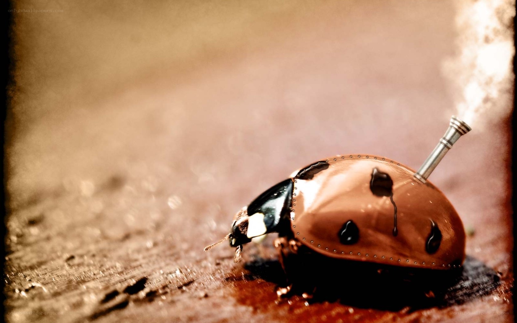 steampunk ladybug with steam