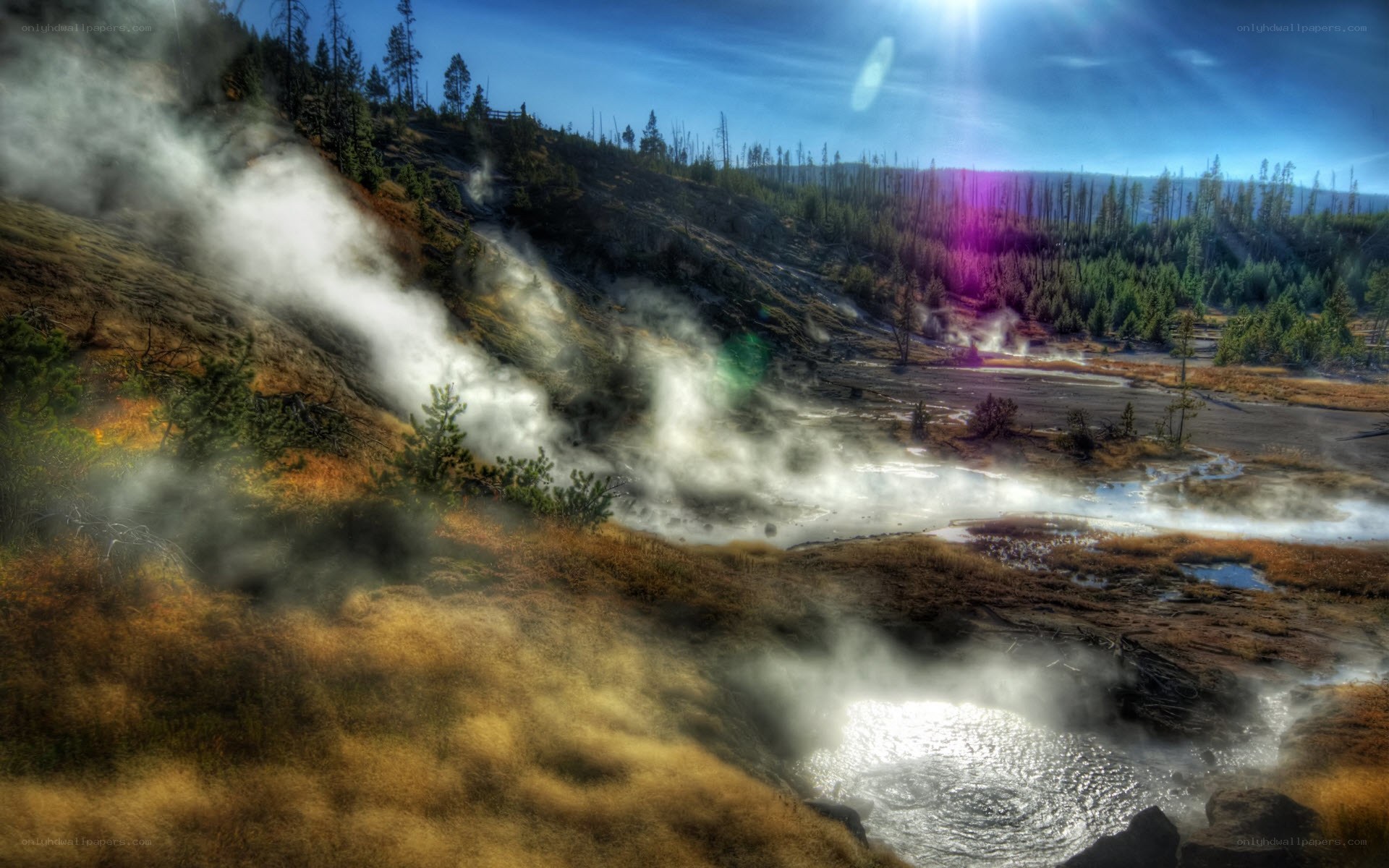 Steamy geothermal valley