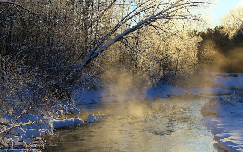Steamy river in winter forest