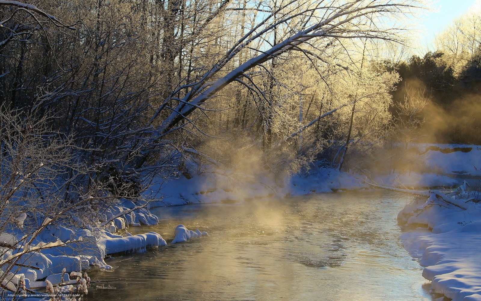 Steamy river in winter forest