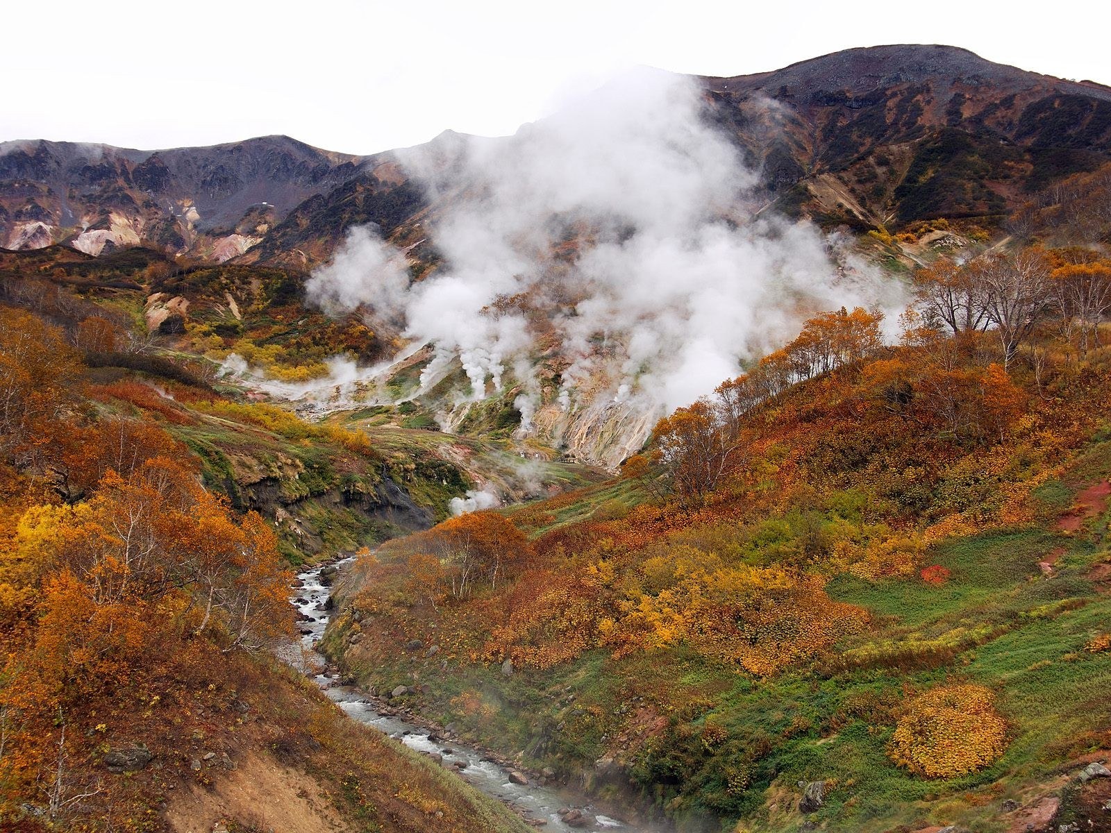 Steamy valley with autumn trees