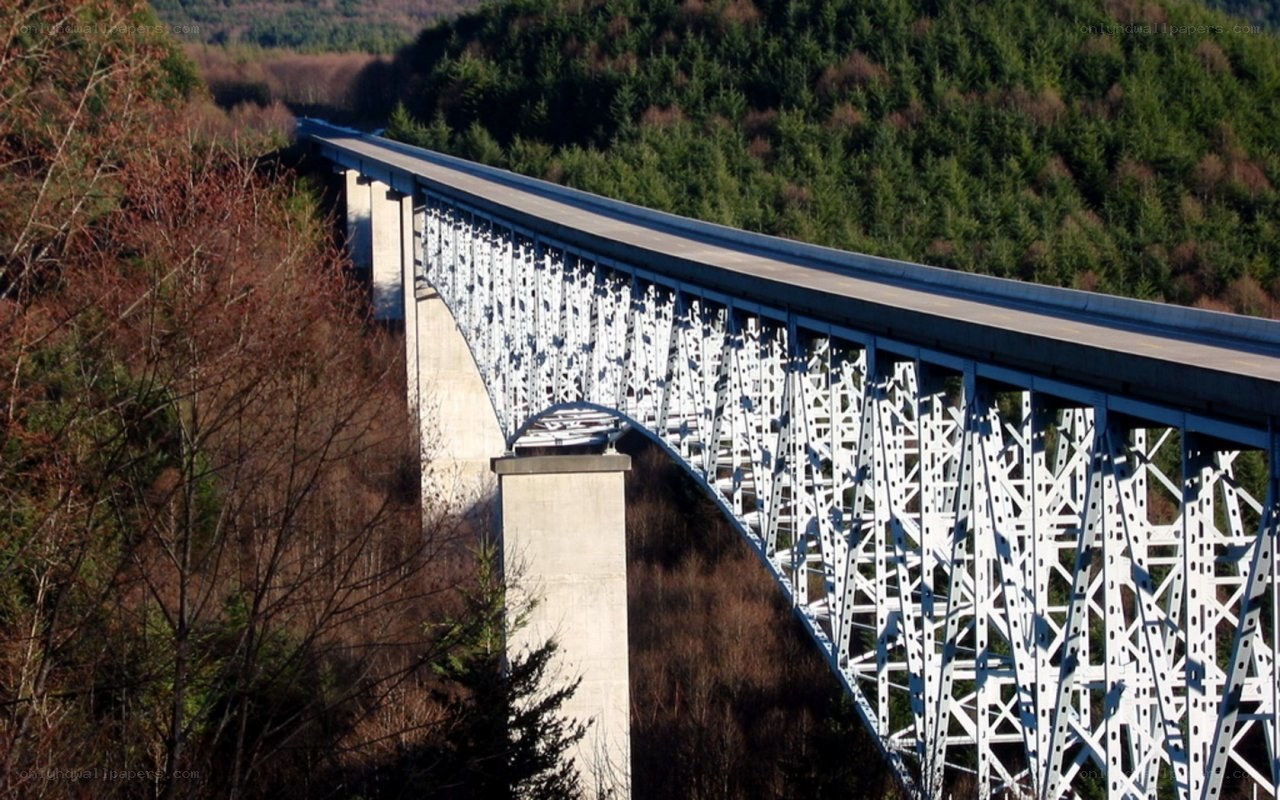 steel arch bridge in forest