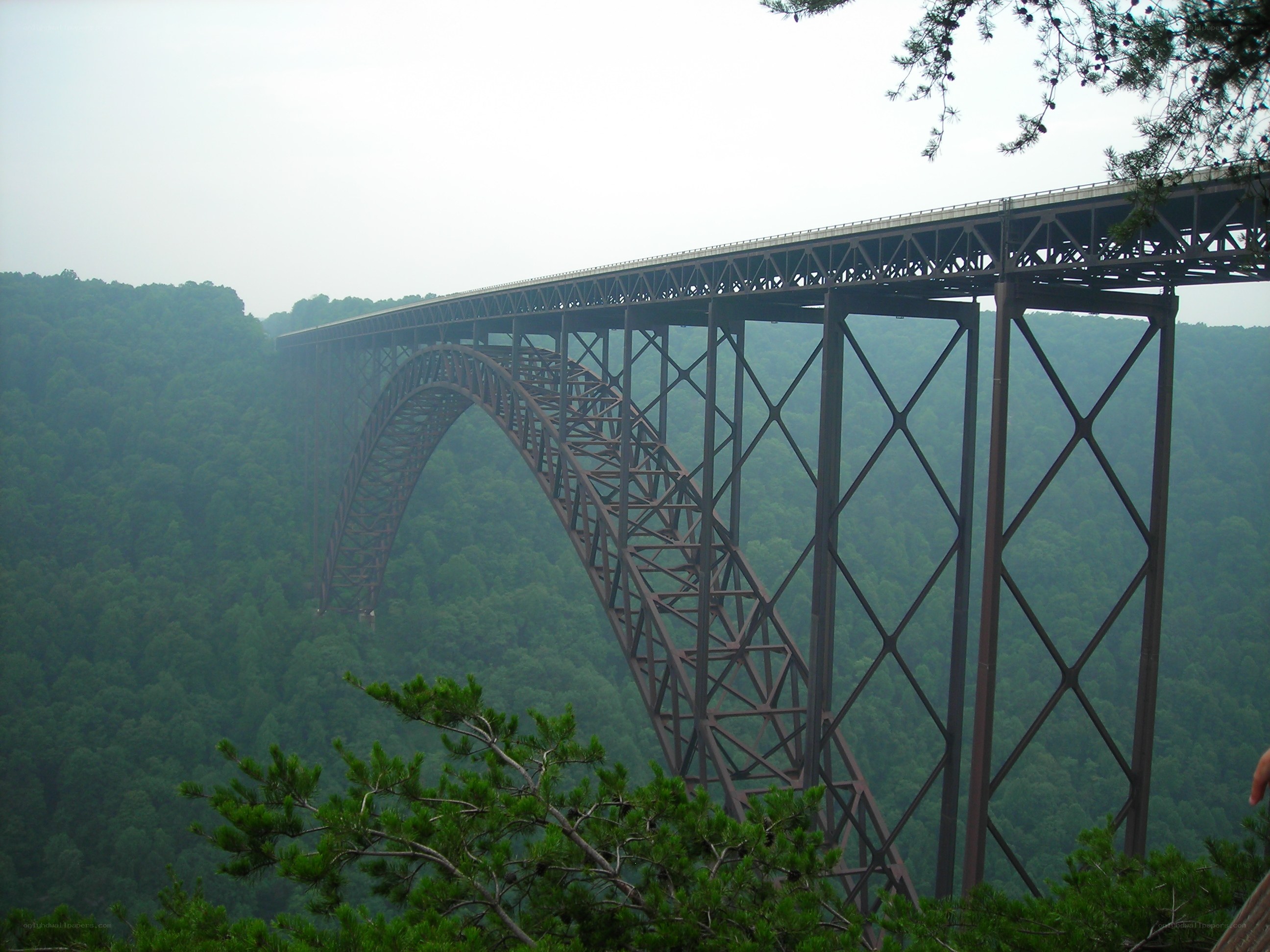 Steel arch bridge over forested valley