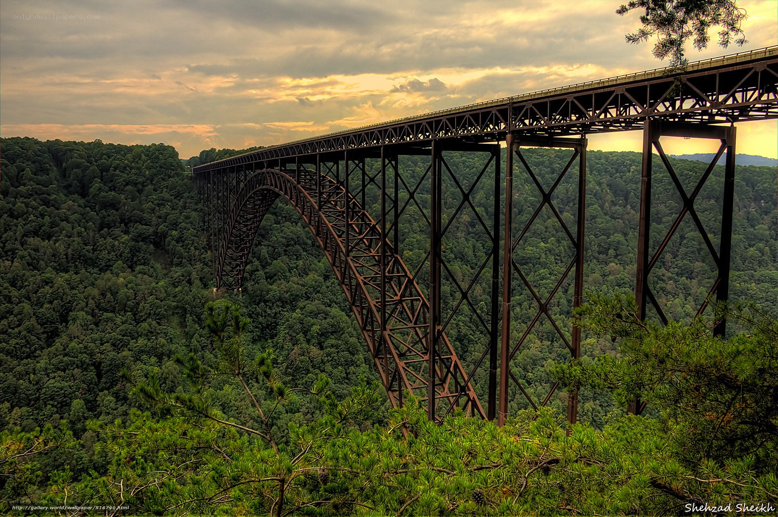 Steel bridge over forested valley