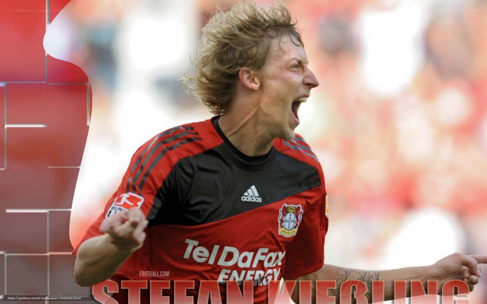 Stefan Kießling celebrating