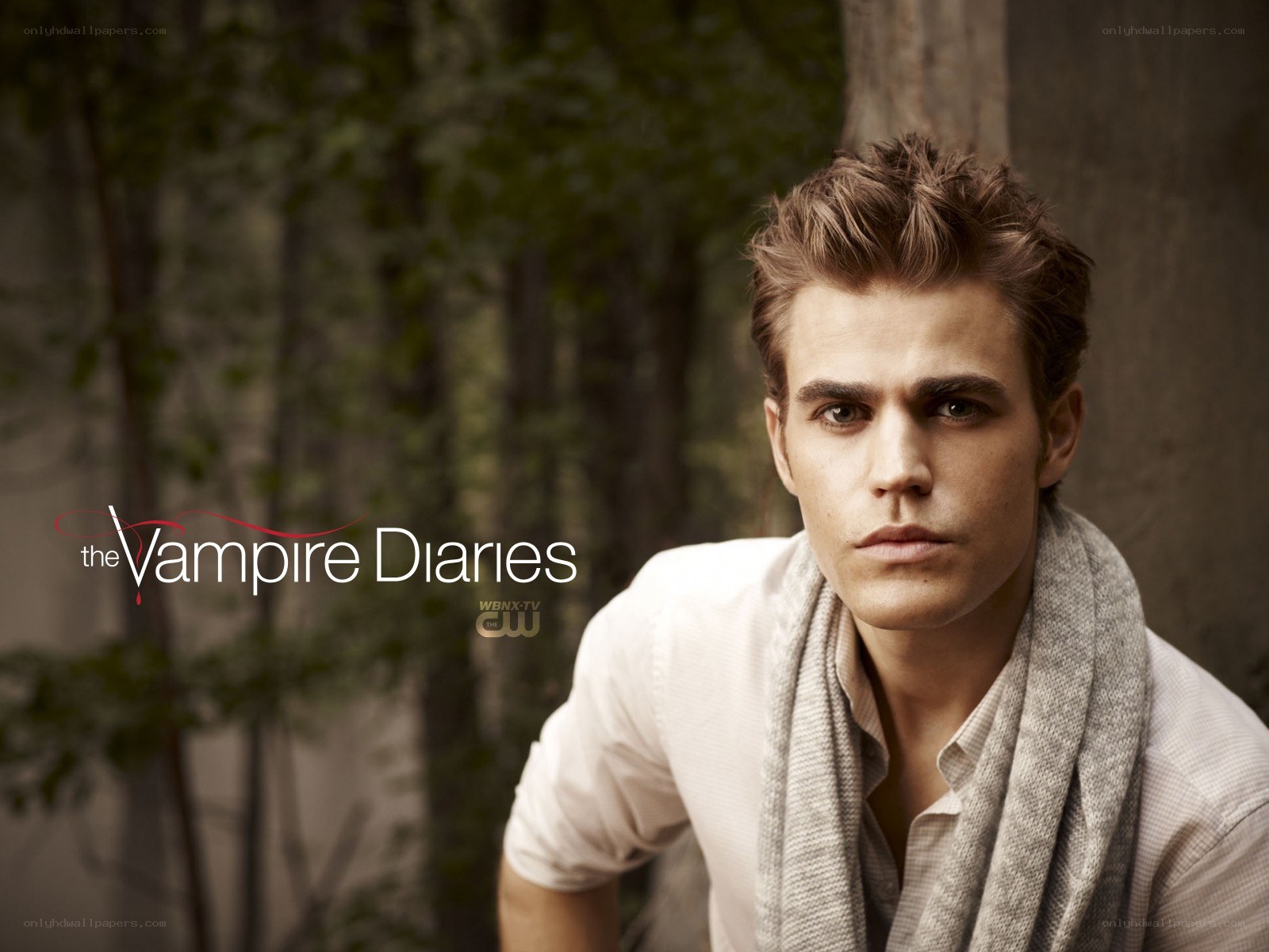 Stefan Salvatore from The Vampire Diaries