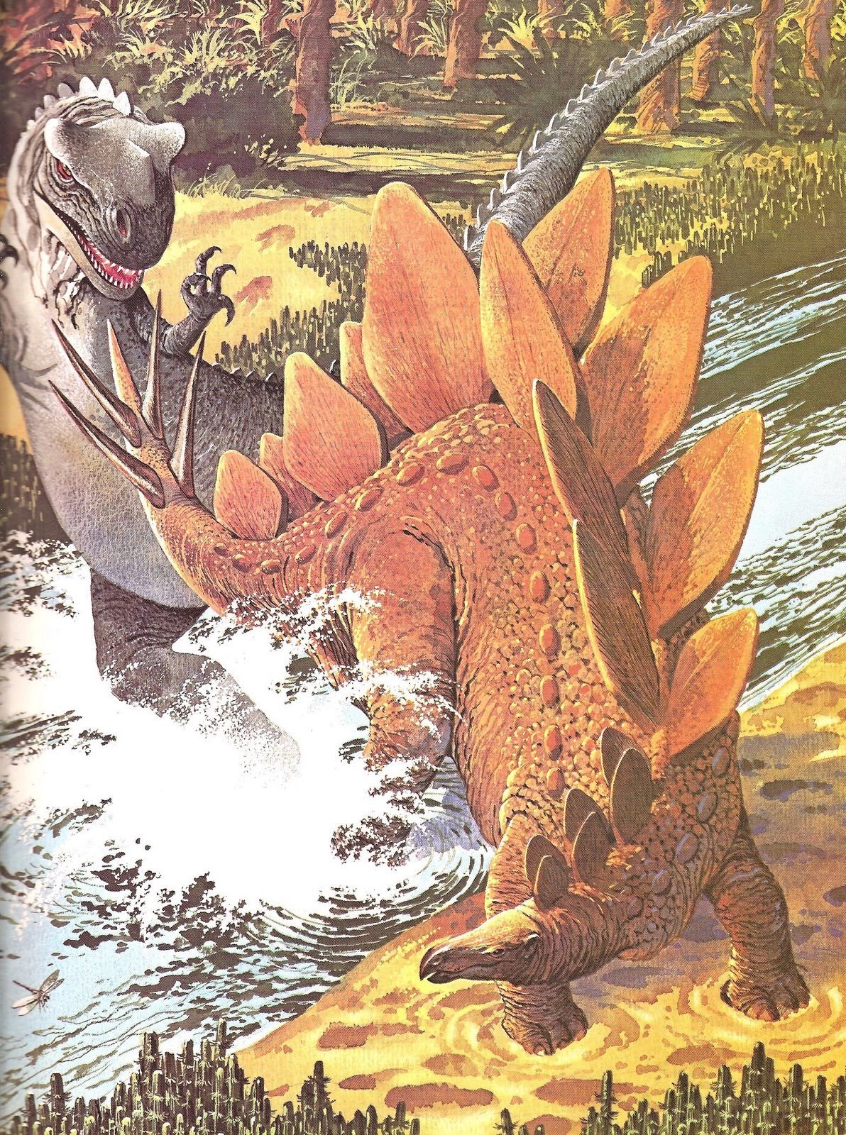Stegosaurus and Allosaurus in river