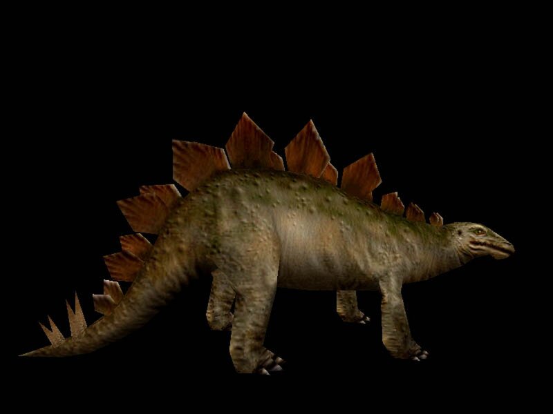 Stegosaurus Dinosaur