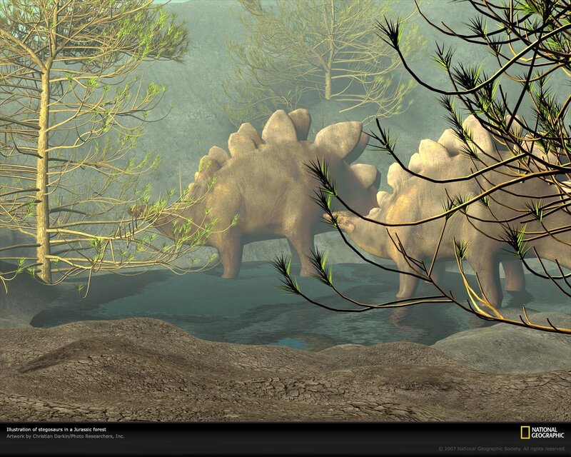 Stegosaurus in Jurassic forest
