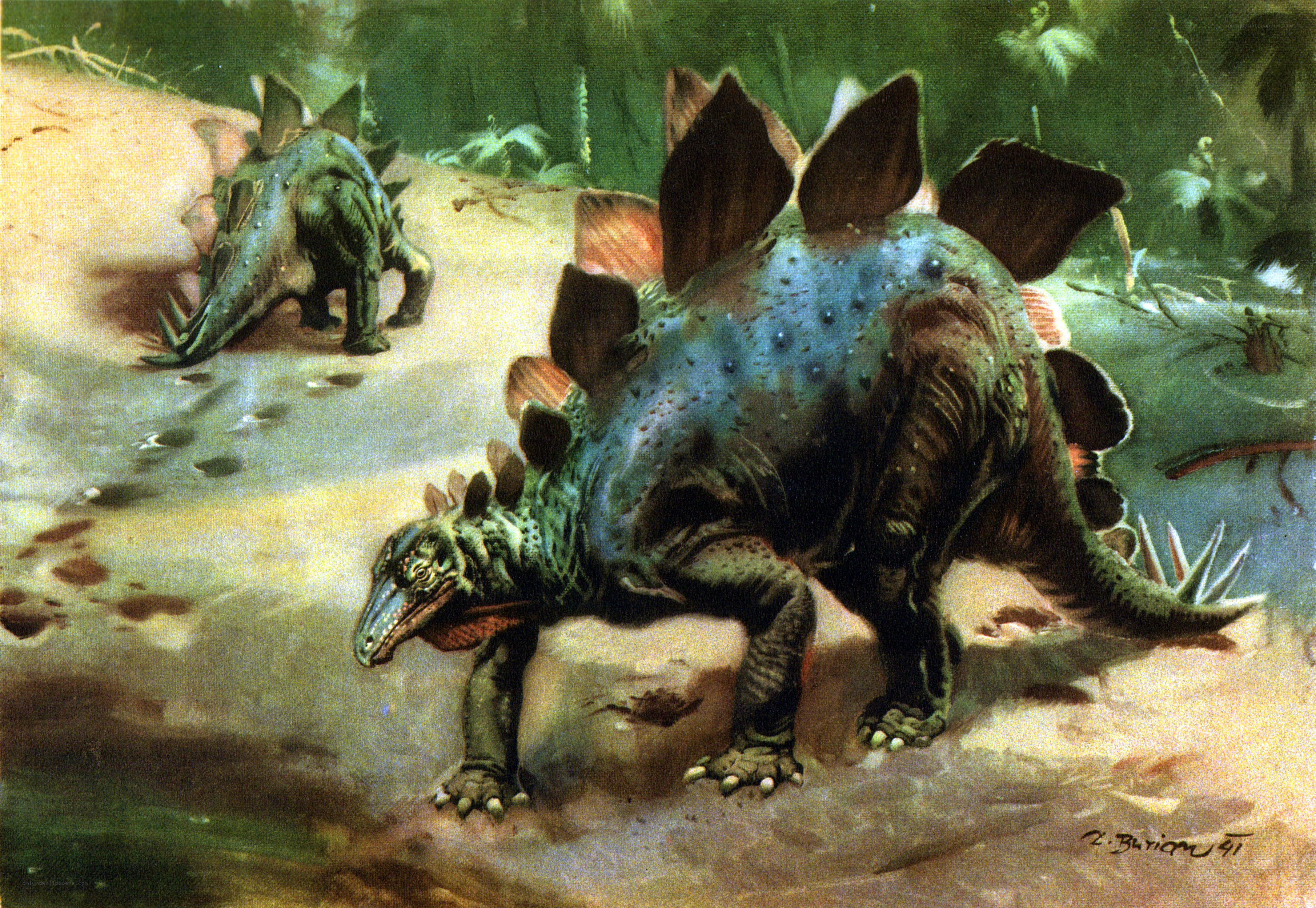 Stegosaurus in prehistoric forest