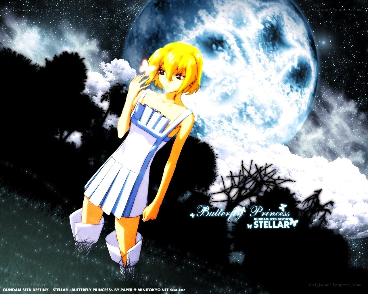 Stellar Butterfly Princess