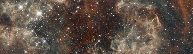 Stellar Nebula with Stars — Brown, Cosmic