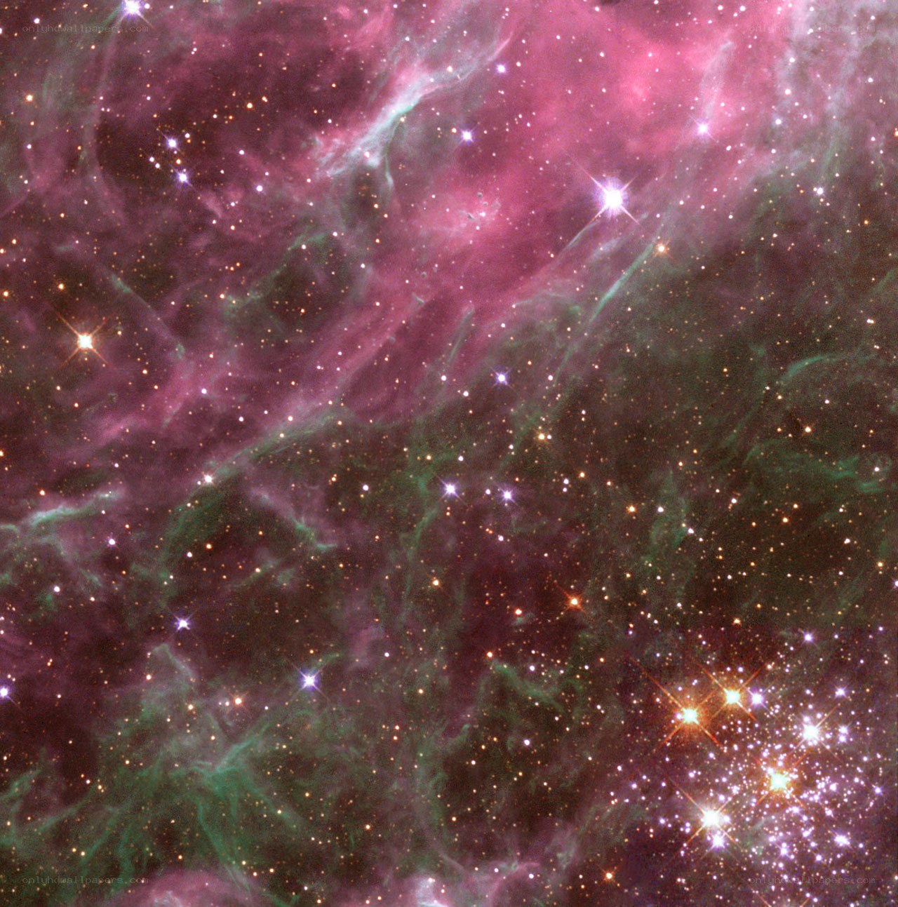 Stellar nursery in Carina