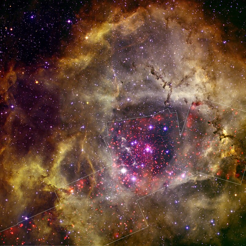 Stellar nursery in Carina Nebula