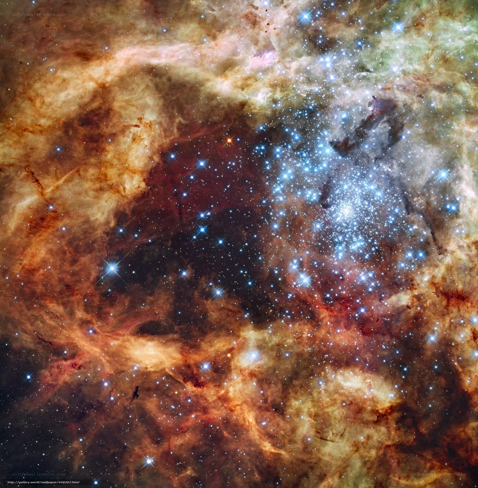 Stellar nursery in Carina Nebula