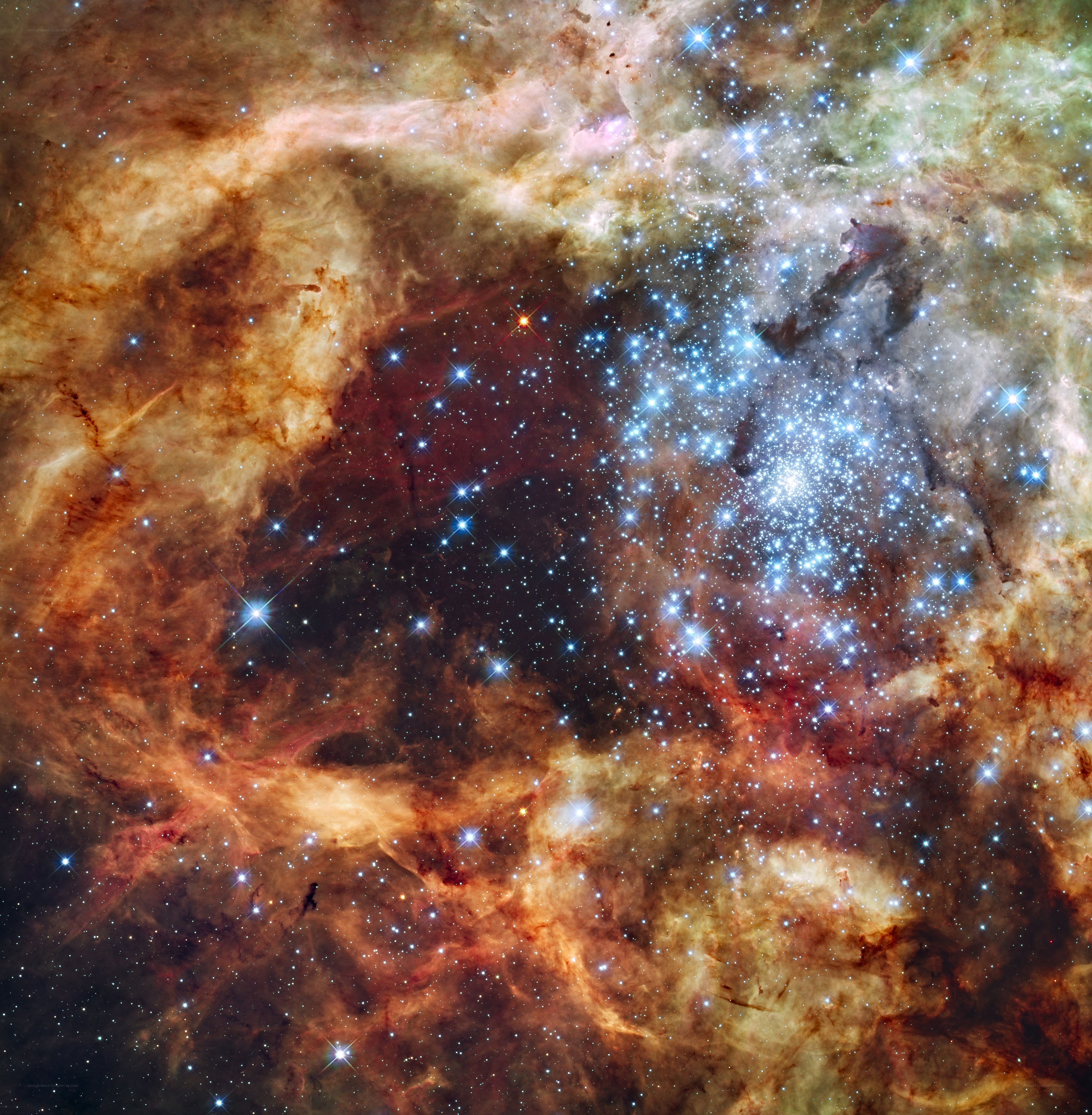 Stellar nursery in Carina