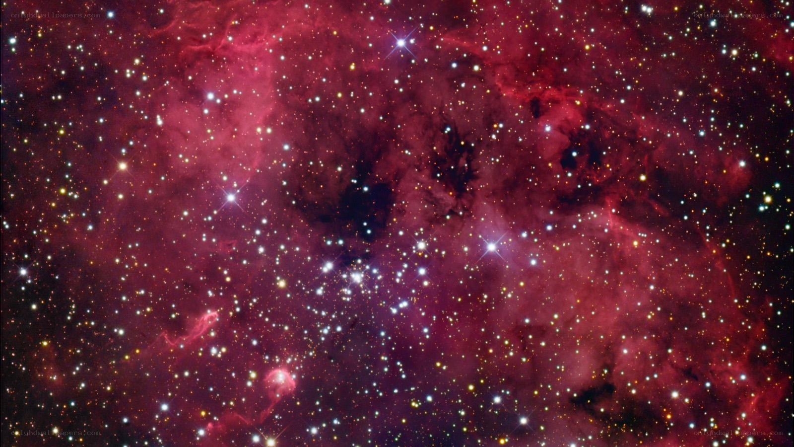 Stellar nursery in deep space