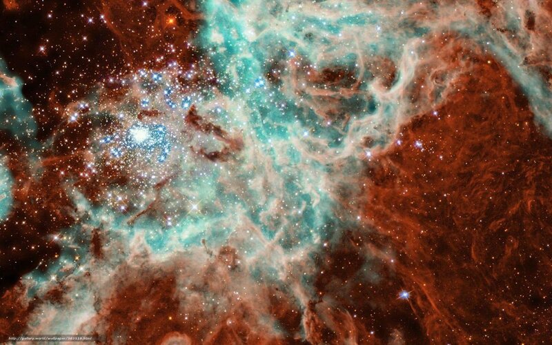 Stellar Nursery in Nebula