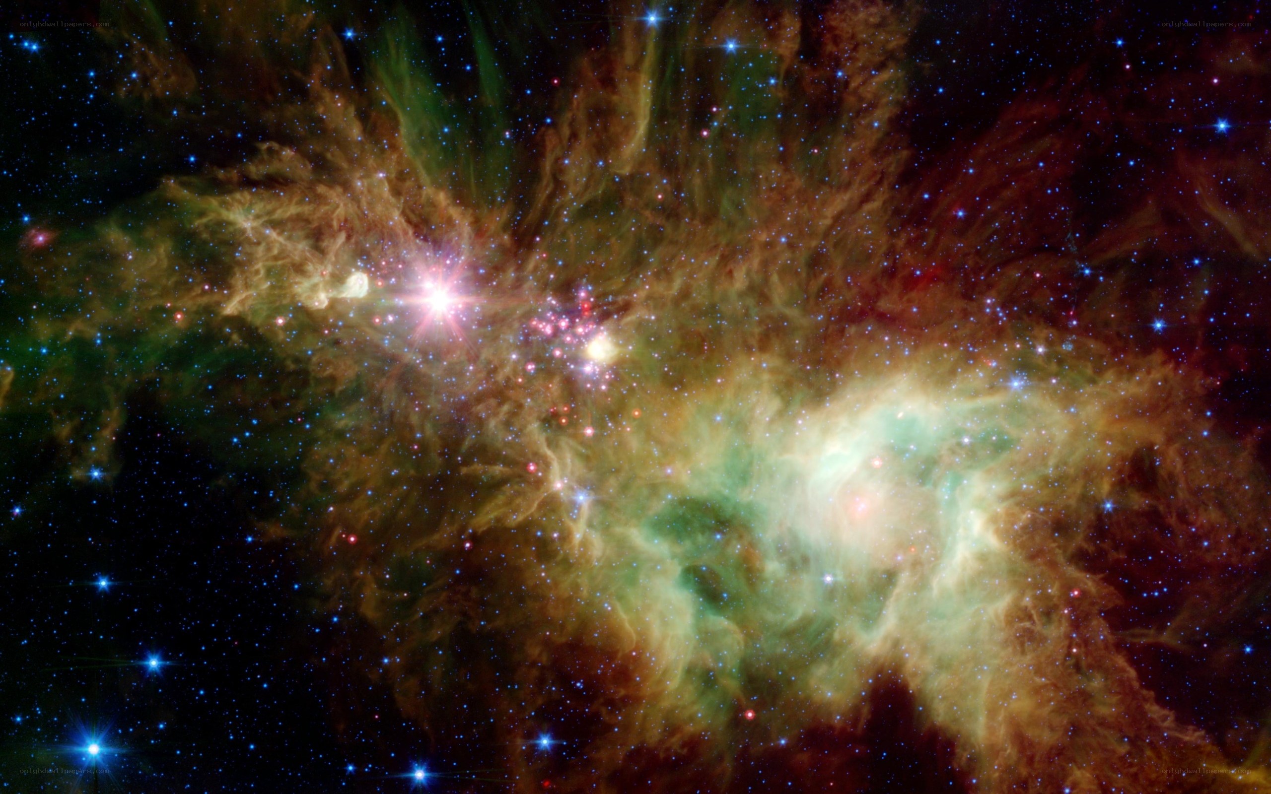 Stellar nursery in Orion