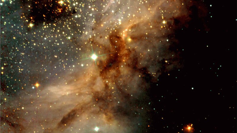 Stellar nursery in Orion